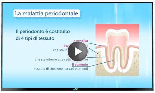 TV Dentista